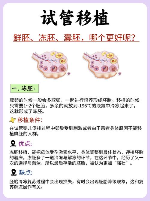 试管婴儿养囊胚几天可以冷冻？