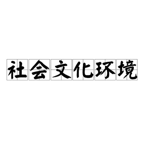 社会文化