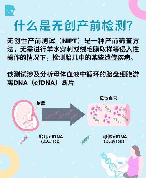 无创产前检测