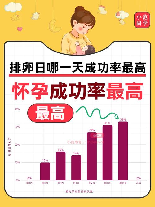  受孕概率