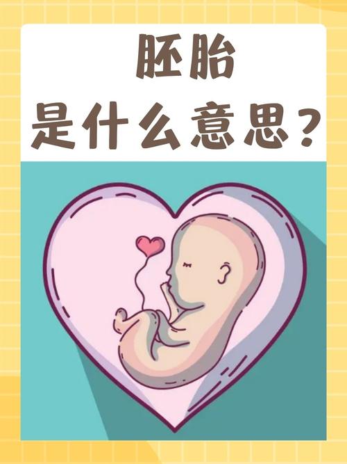 胚胎安全