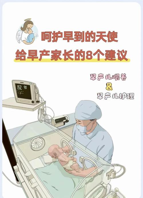 早产护理