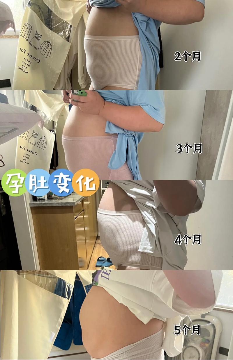 五个月孕期