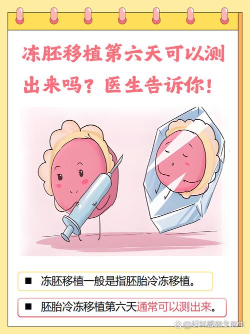 胚胎冷冻移植