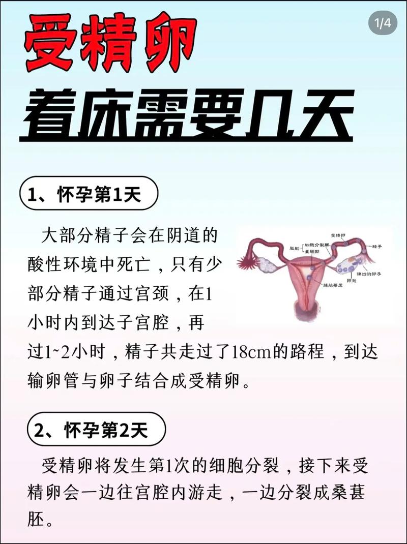 着床检查