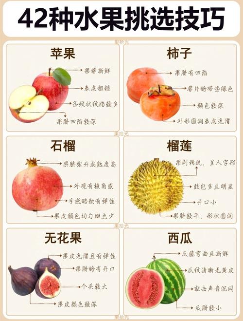 水果挑选