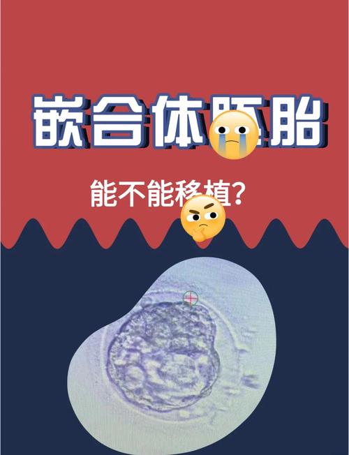 3%嵌合体