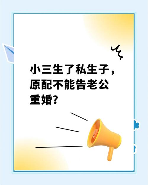 小三通过试管婴儿生子是否违法？