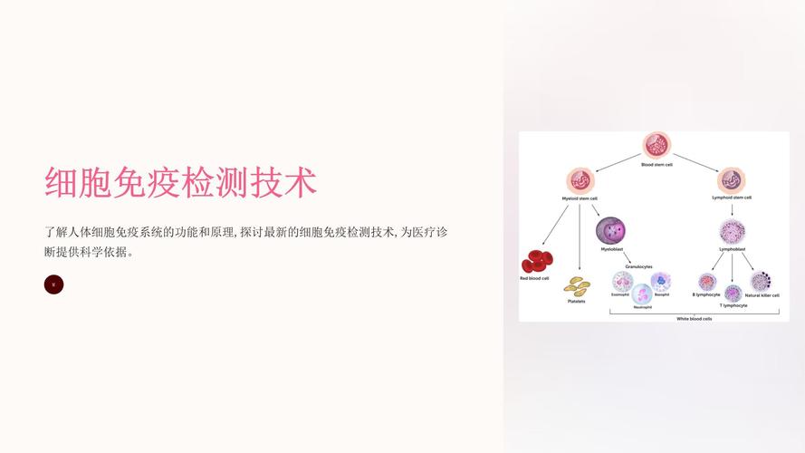 细胞免疫检测