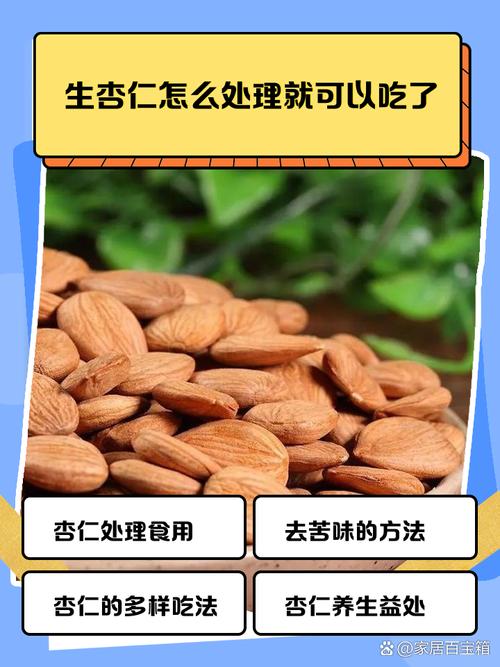 试管婴儿饮食：杏仁的安全性如何？