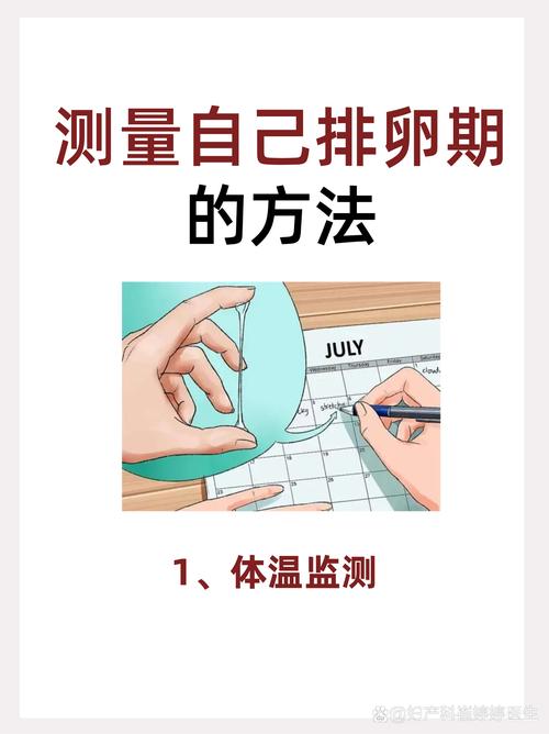 自身排卵
