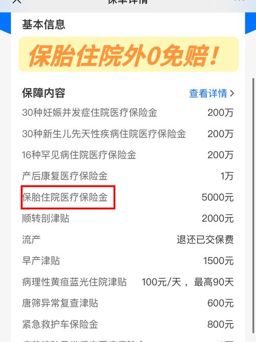 多胞胎费用
