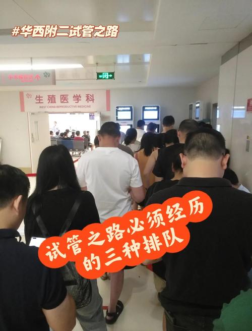 试管婴儿：为什么还要排队？