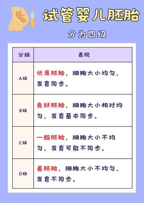 离婚后试管婴儿胚胎如何分配？