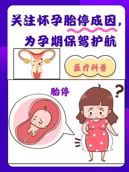试管婴儿更容易胎停育？真相解读