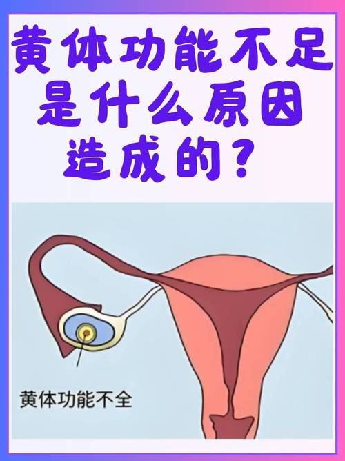 黄体支持激素