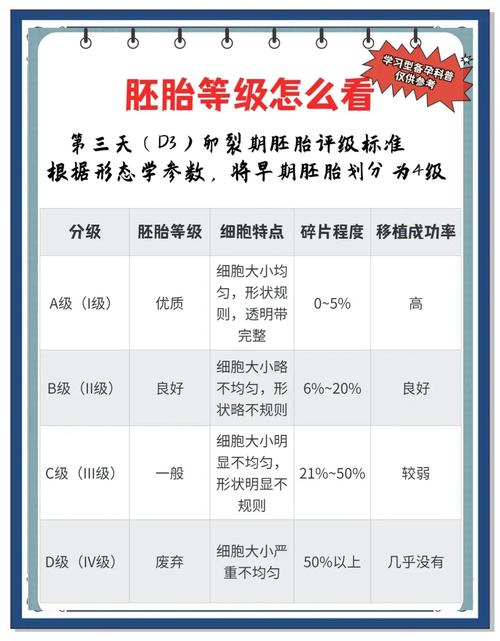 92级别胚胎