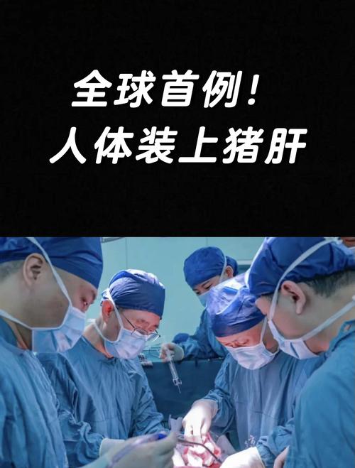成功移植案例