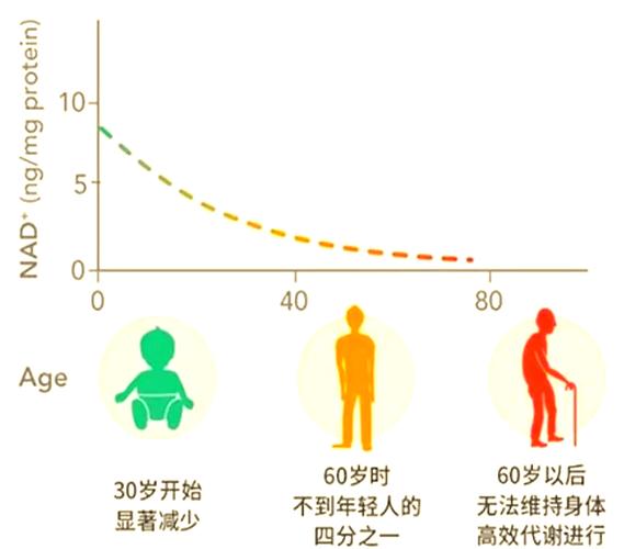 老化加速