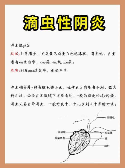 滴虫感染