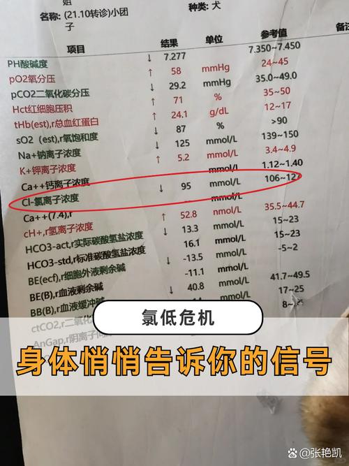 血氯影响