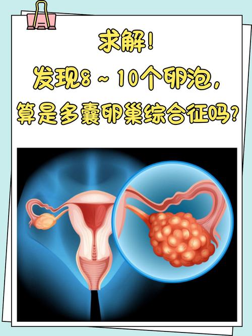  卵泡不足