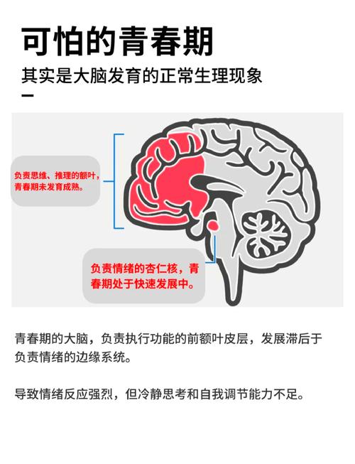  脑发育异常