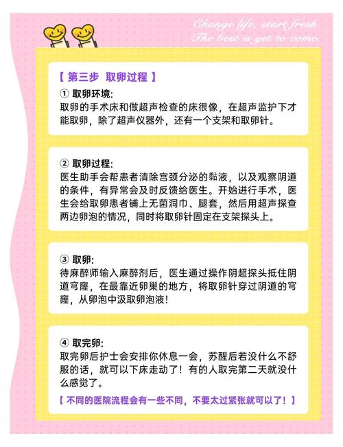 试管婴儿取卵12个，成功率如何？