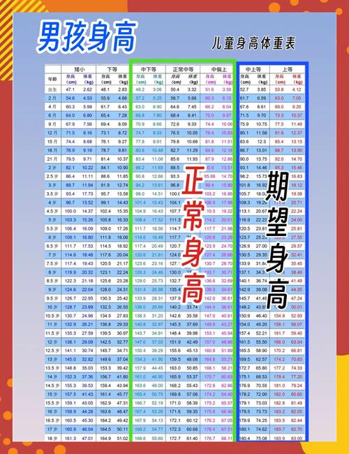 身高范围