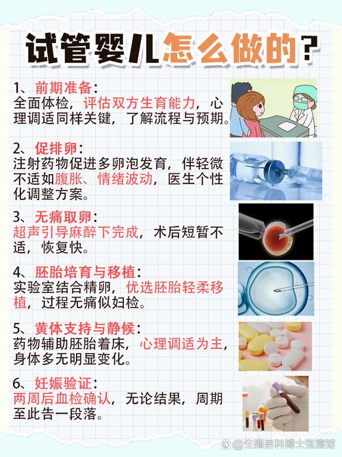 试管婴儿备孕期间如何科学补血？