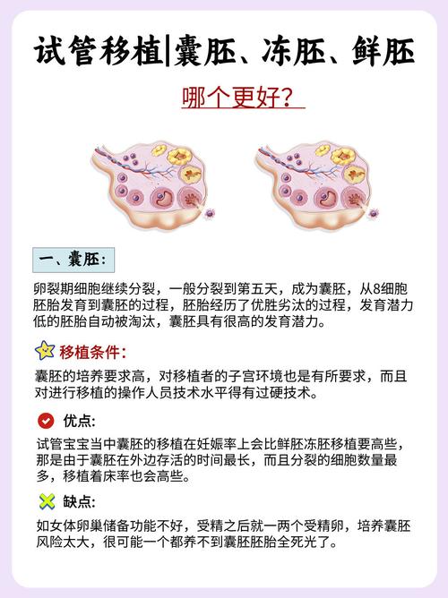 试管婴儿移植：囊胚还是早期胚胎？