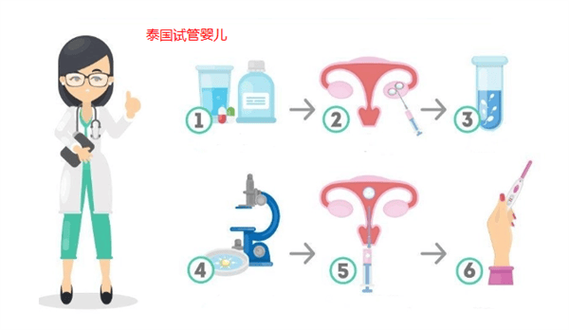 试管婴儿是否需要脐血穿刺？