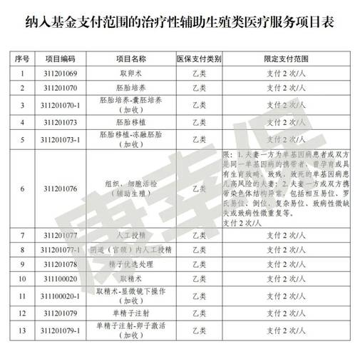 试管婴儿费用是否可以医保报销？