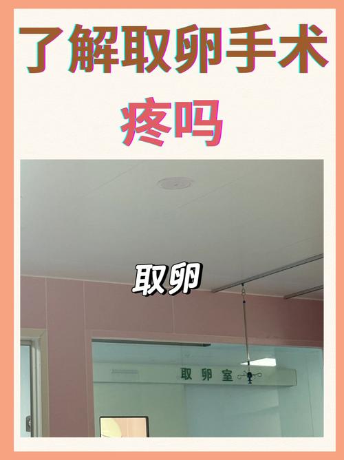 试管婴儿取卵过程女方会疼吗？