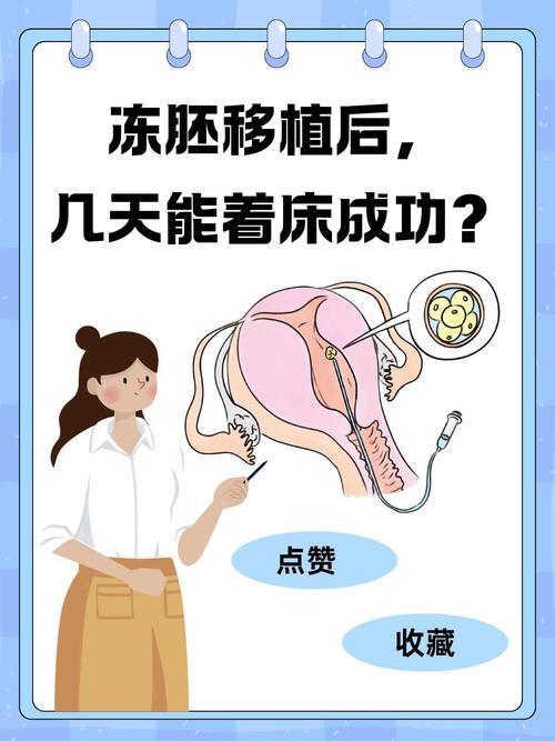 深度解析：为何选择冷冻胚胎移植？