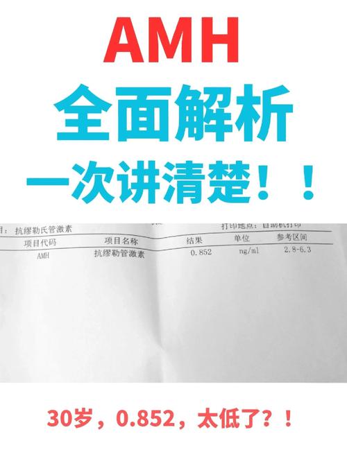 AMH检测