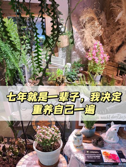 43岁人生
