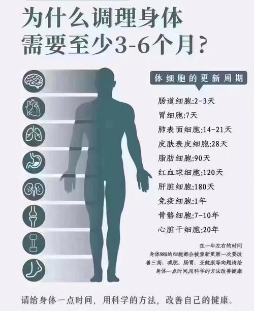  调理周期