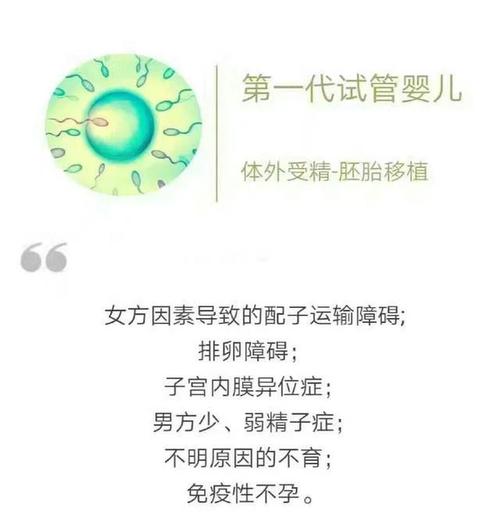 试管婴儿与中药：兼容还是排斥？