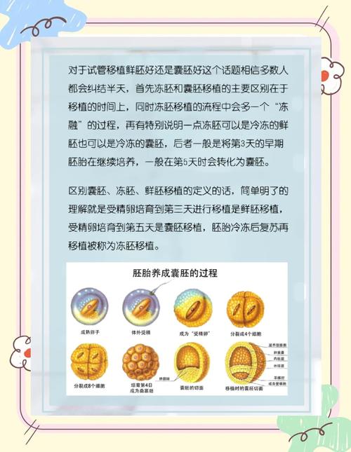 关键问题：试管婴儿的成功几率？
