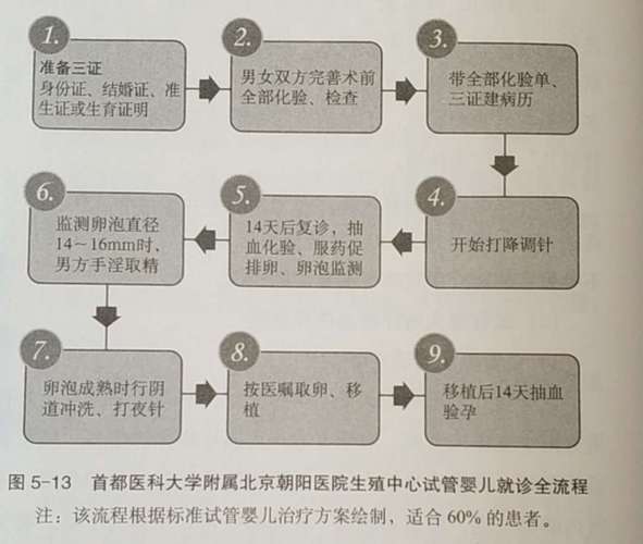 大三阳如何成功进行试管婴儿治疗？