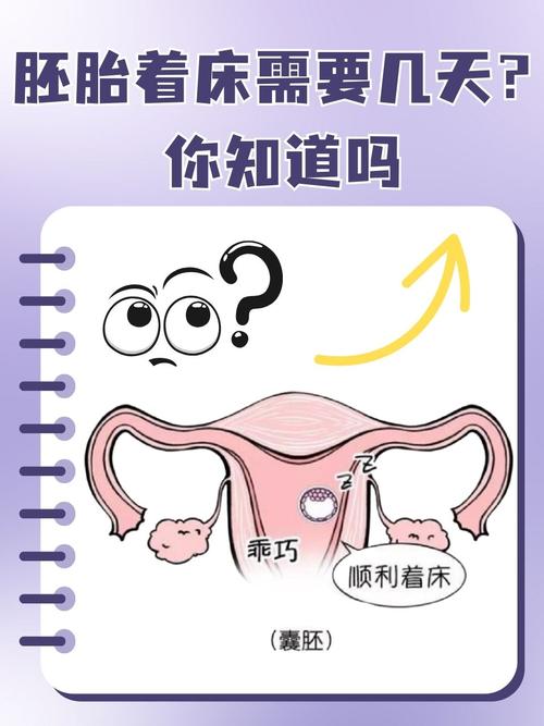胚胎着床时间