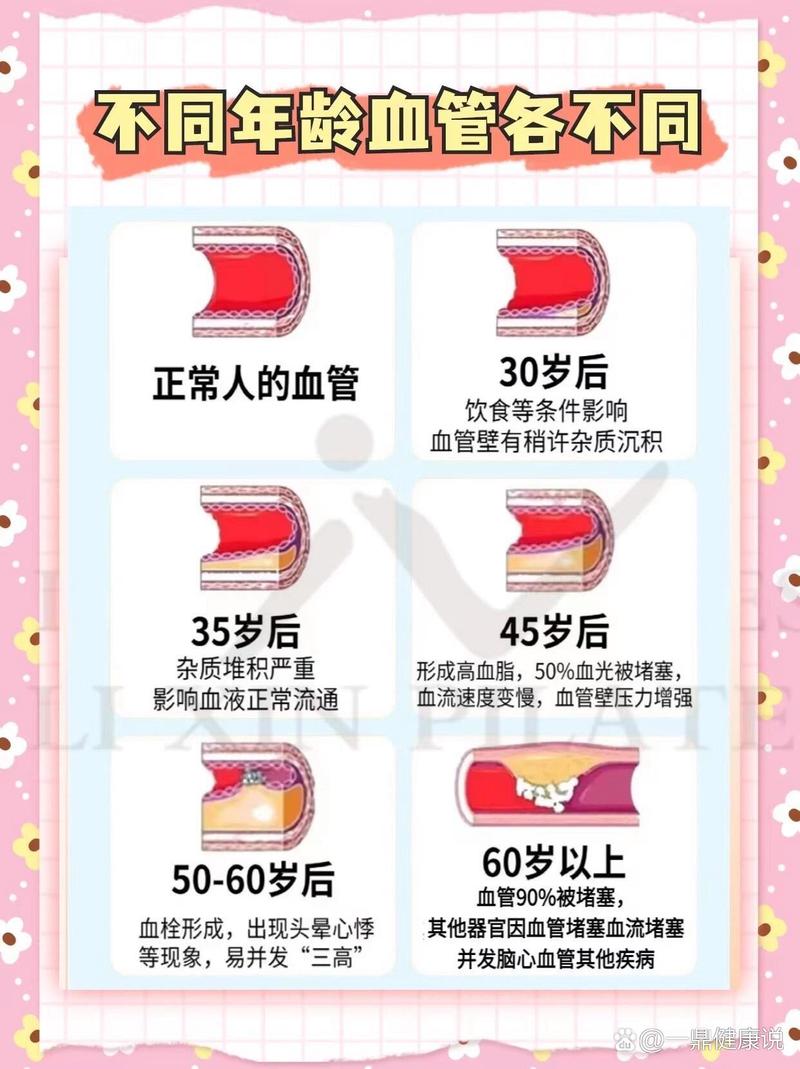 血管发育