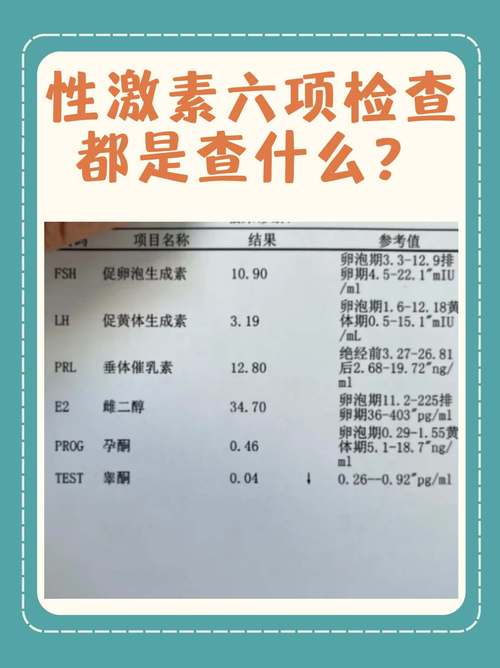 性激素六项检测