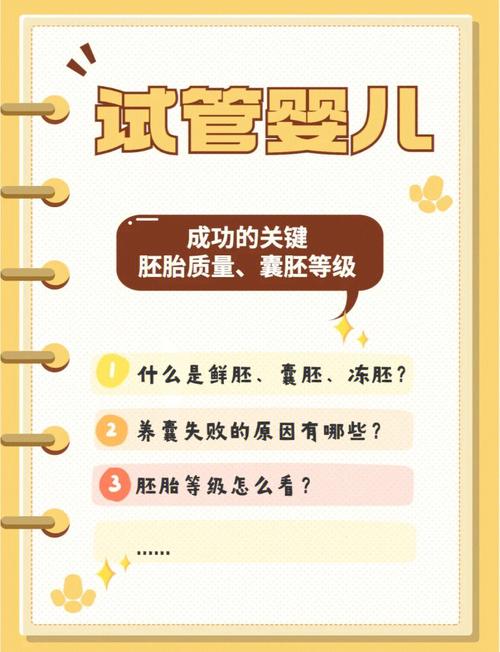 献血对试管婴儿成功率有影响吗？