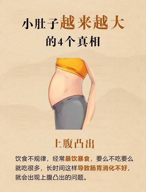 试管婴儿期间小肚子为何变大？