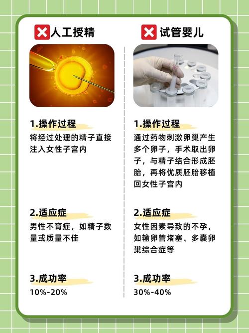 供精试管婴儿：你应该了解什么？