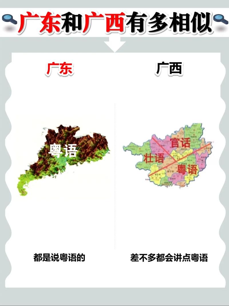 地域差异
