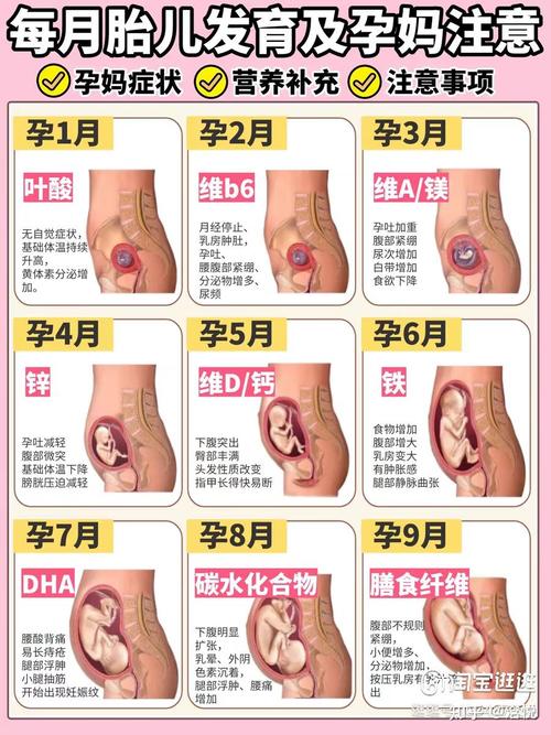 怀孕两个月
