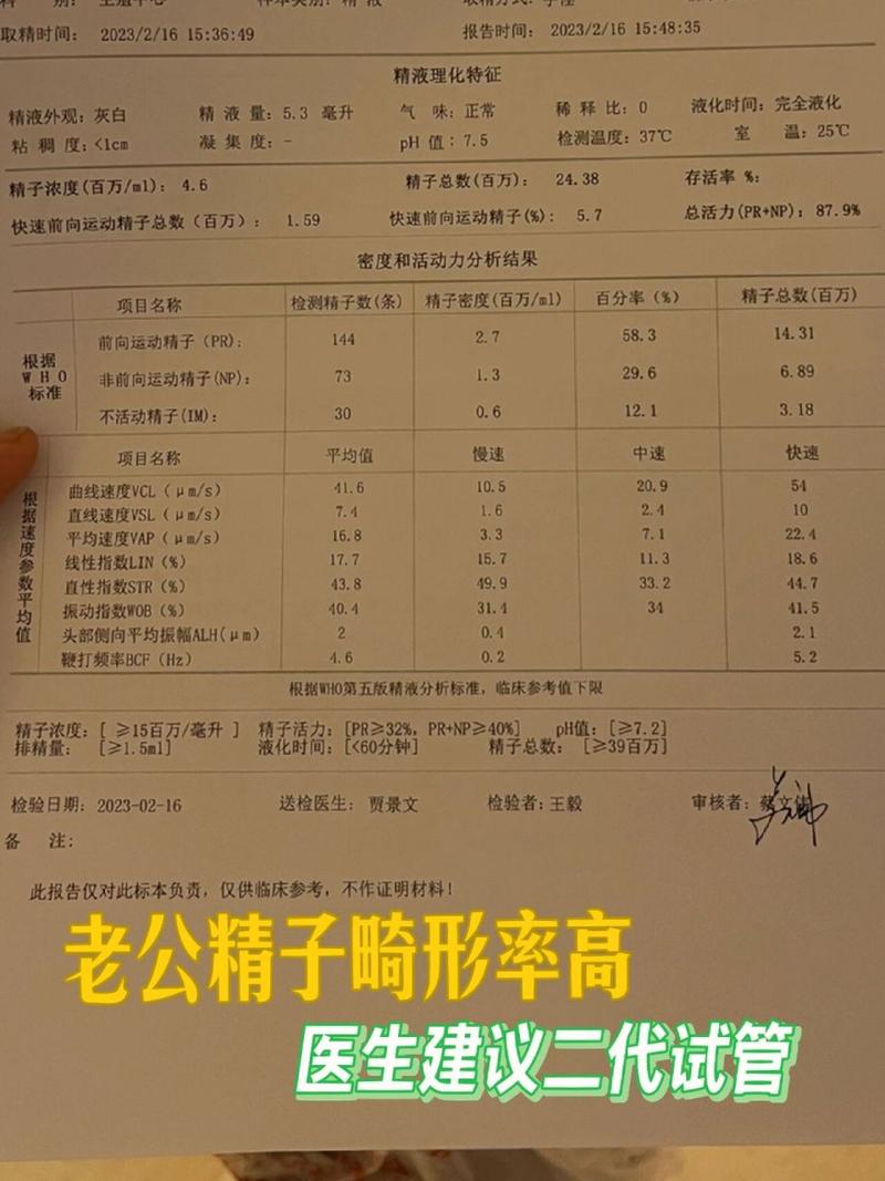 盆腔畸形影响试管婴儿成功率吗？